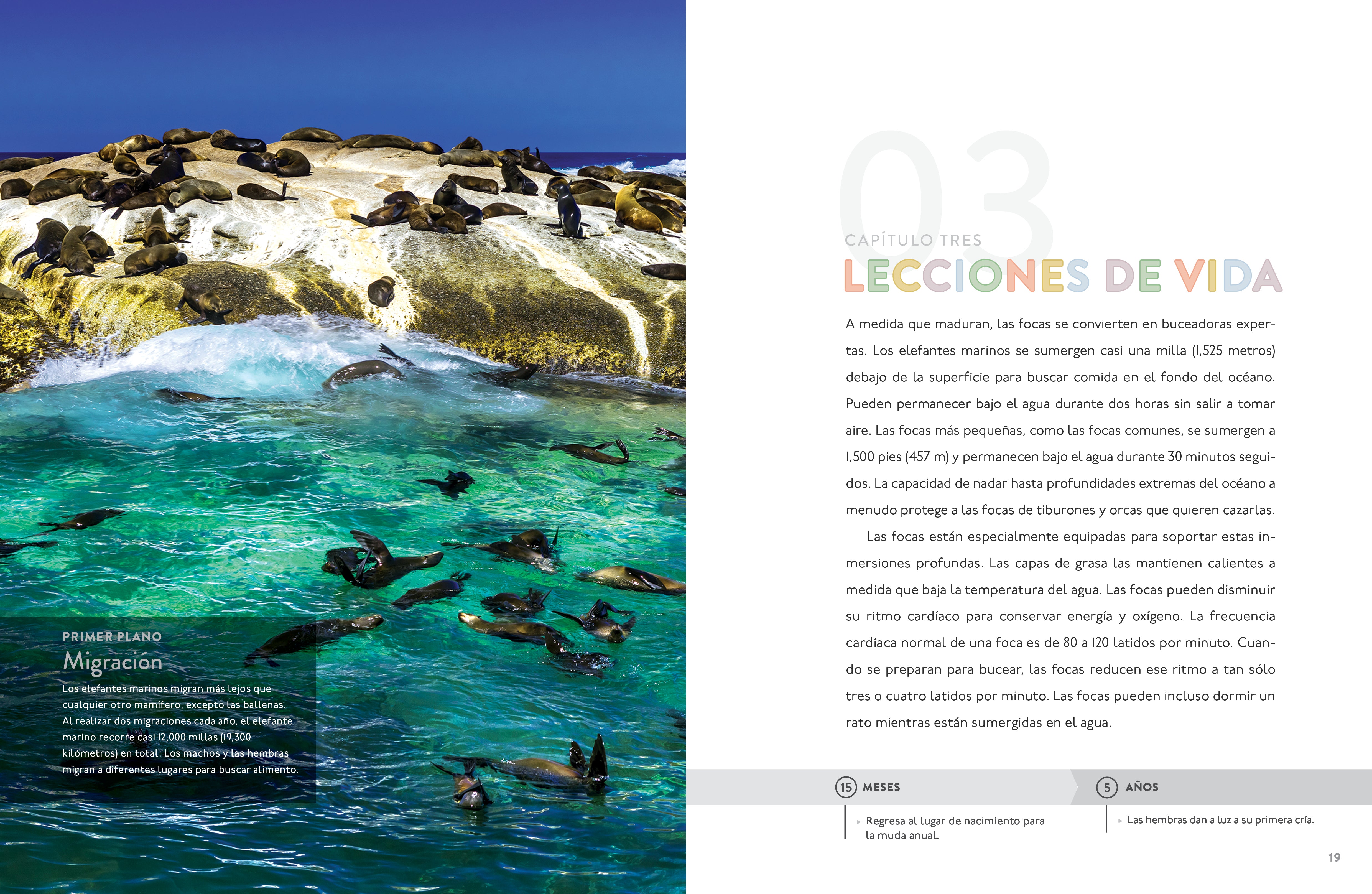 La Foca 9798889894711 - Premium Quality for Everyday Use | Perfect for Home, Office, and Travel