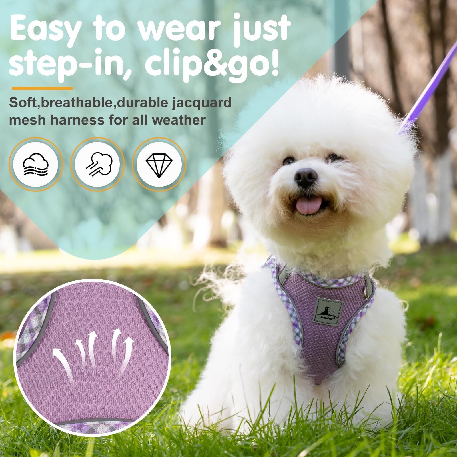 No Pull Dog Harness and Leash Set - Soft Breathable Adjustable Pet Vest for Small Dogs, Puppies & Cats - Reflective Step-in Design for Safe Night Walking - Perfect for Daily Walks, Jogging & Outdoor Adventures