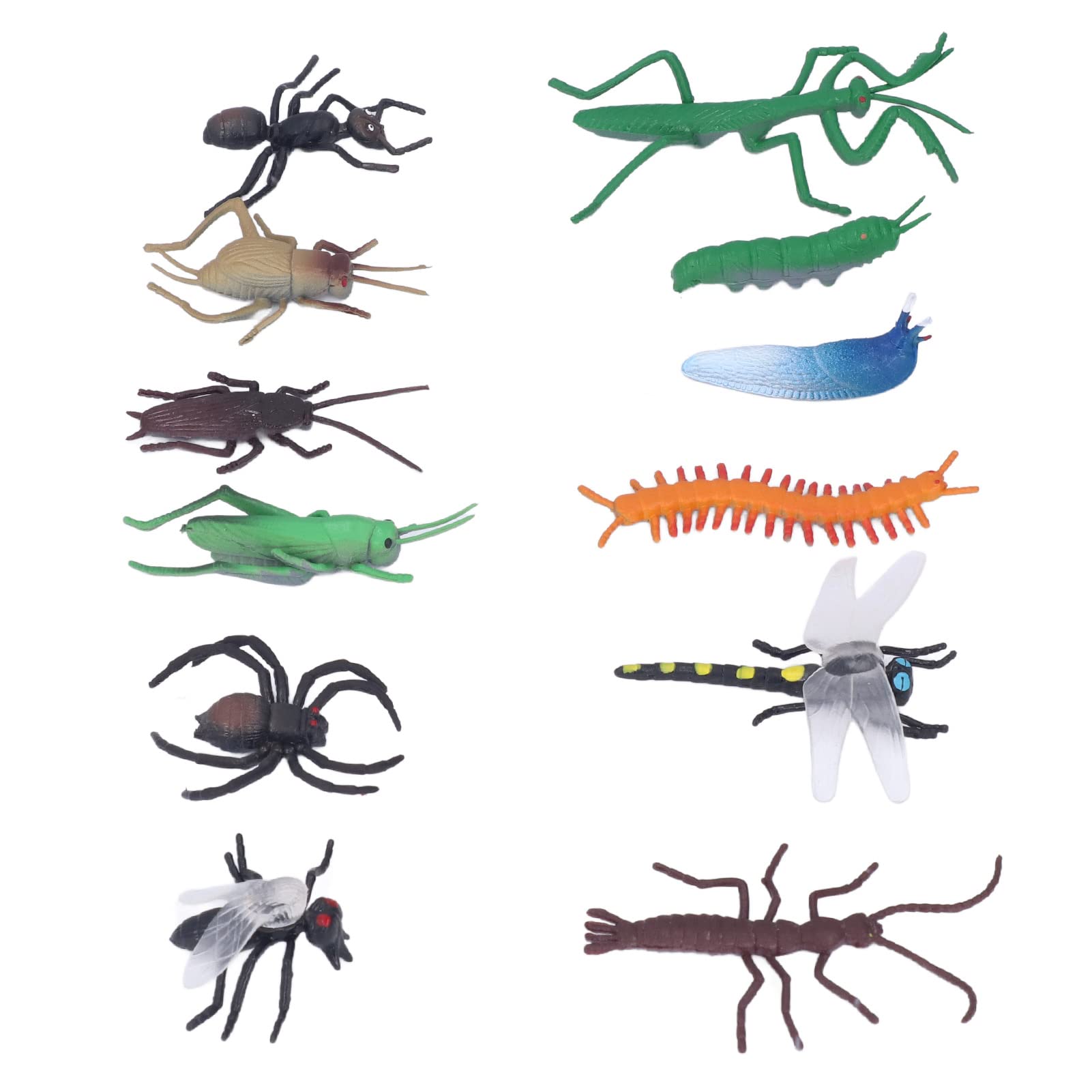 Evonecy Realistic Insect Simulation Model - Educational Insect Toys for Kids, Science Classroom & Nature Study - Perfect for Learning, Teaching & STEM Activities