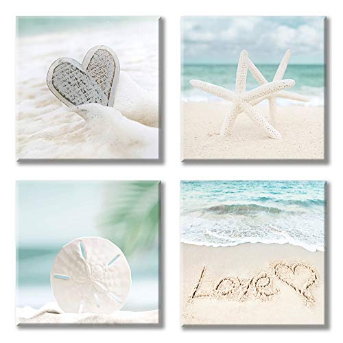Seashell picture