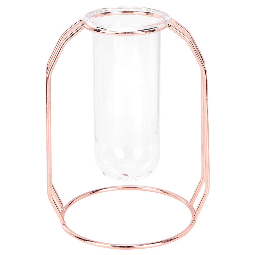 Valentine's Day Hydroponic Glass Flower Vase - Elegant Rose Gold Planter for Home, Wedding & Office Decor | Perfect for Indoor Plants, Table Centerpieces and Gift Giving