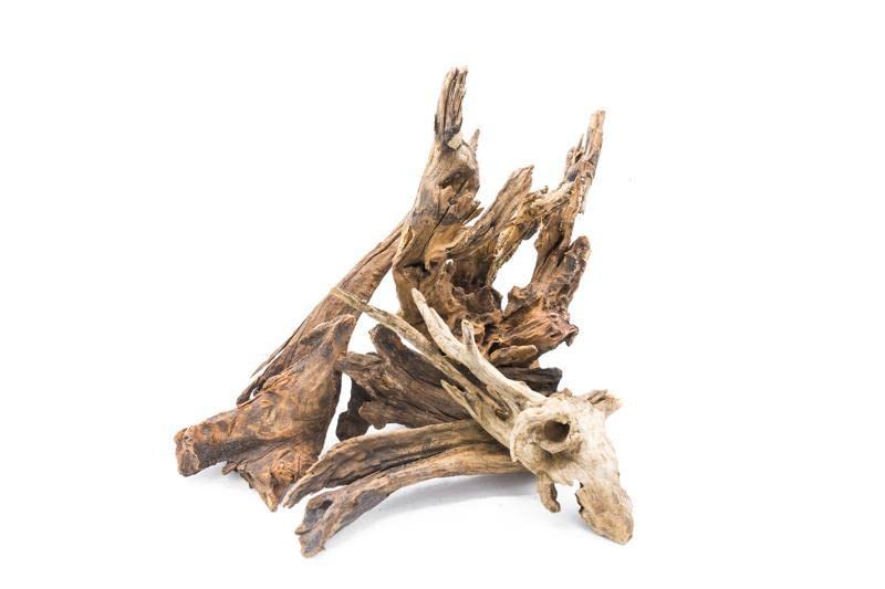 Natural Aquarium Driftwood for Fish Tanks - Small to Large Pieces (Pacific Wood Medium 8-12