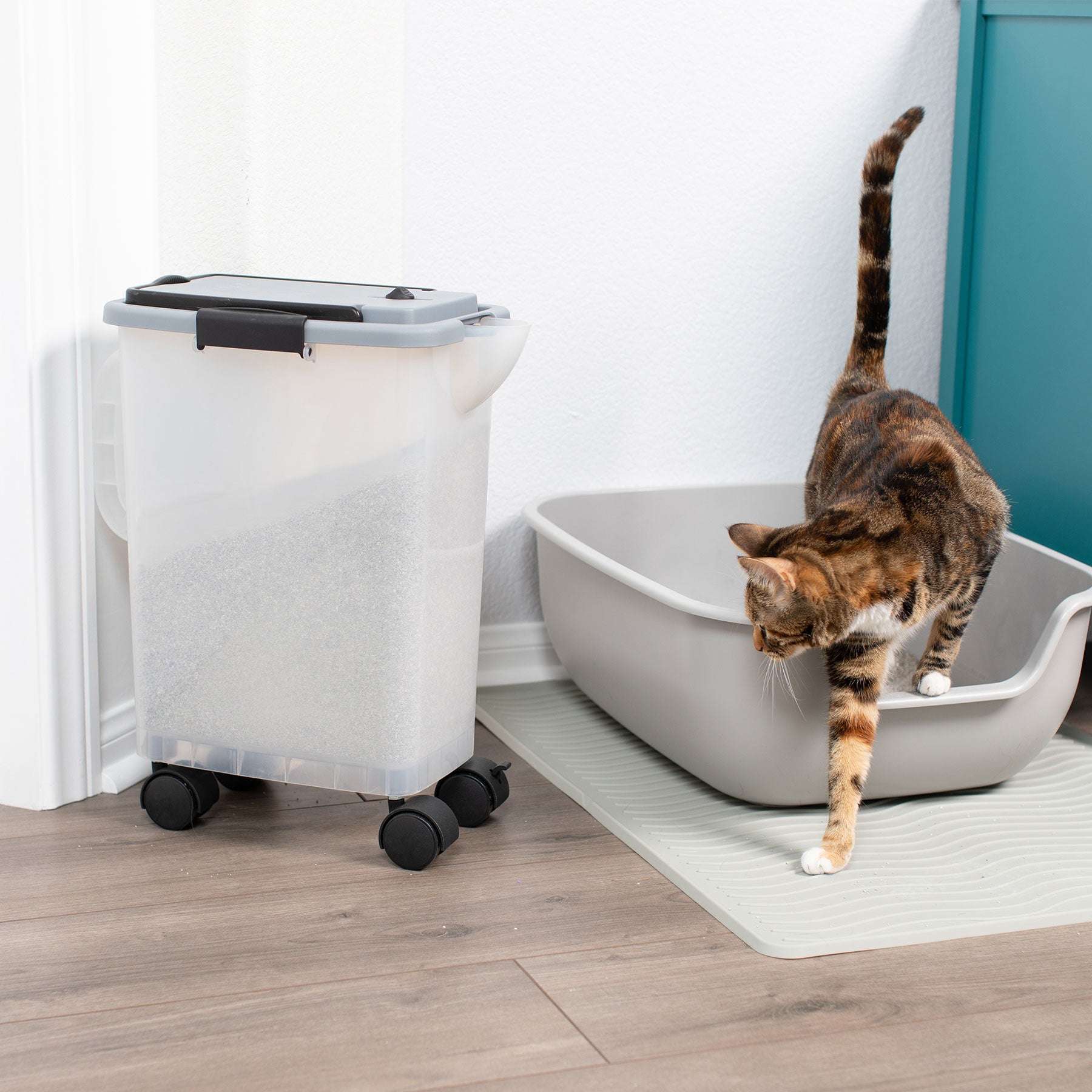 PetFusion BetterBin Portable Cat Litter Storage Container - Odor-Proof & Leak-Proof Design for Travel, Home & Car Use