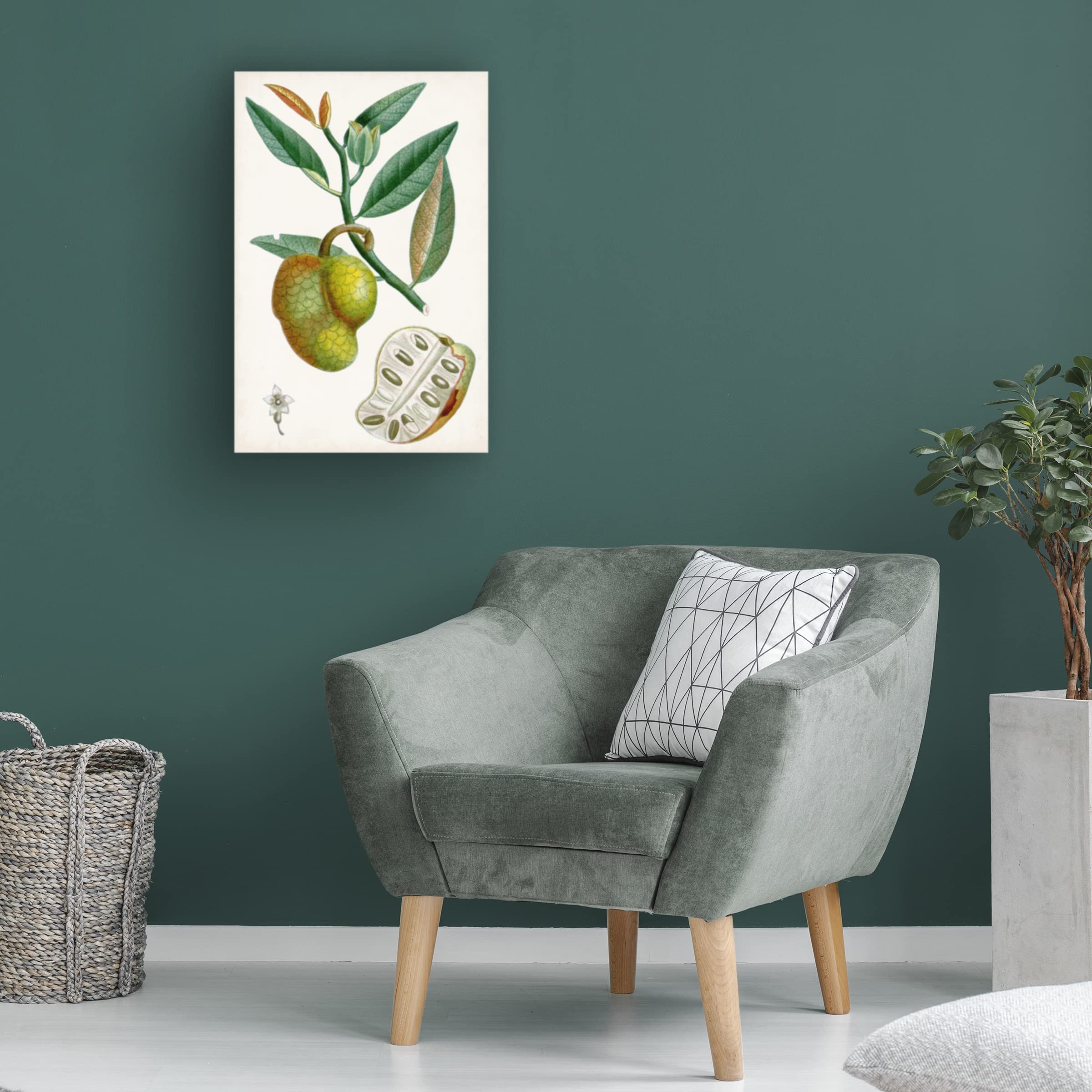 Turpin Tropical Fruit III Canvas Art Print - Vibrant Fruit Still Life Wall Decor for Living Room, Kitchen & Dining Area - Trademark Fine Art by Turpin