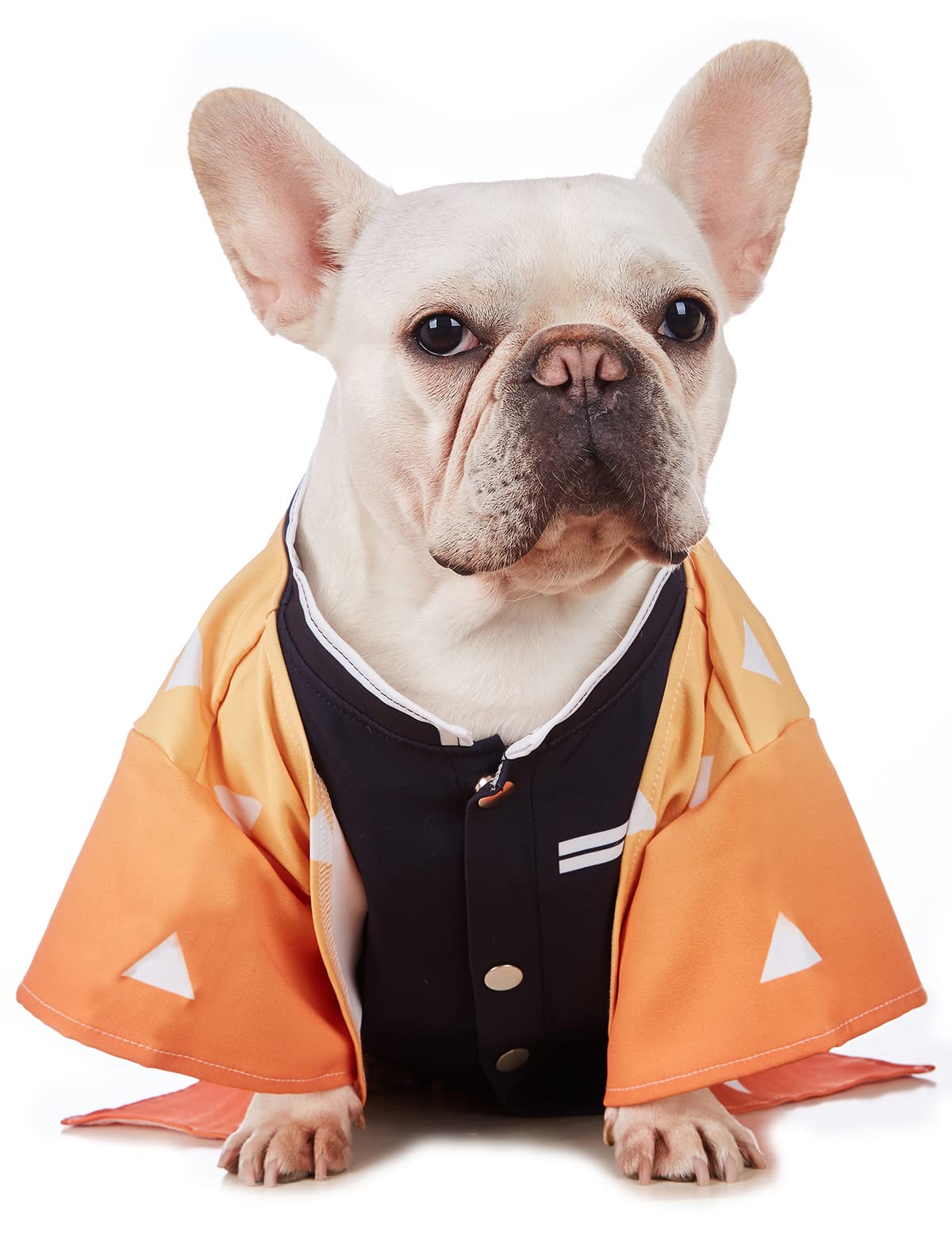 Funny Halloween Dog Costume - Cute Cosplay Pet Outfit for Small Dogs & Cats | Perfect for Halloween Parties & Pet Photo Shoots