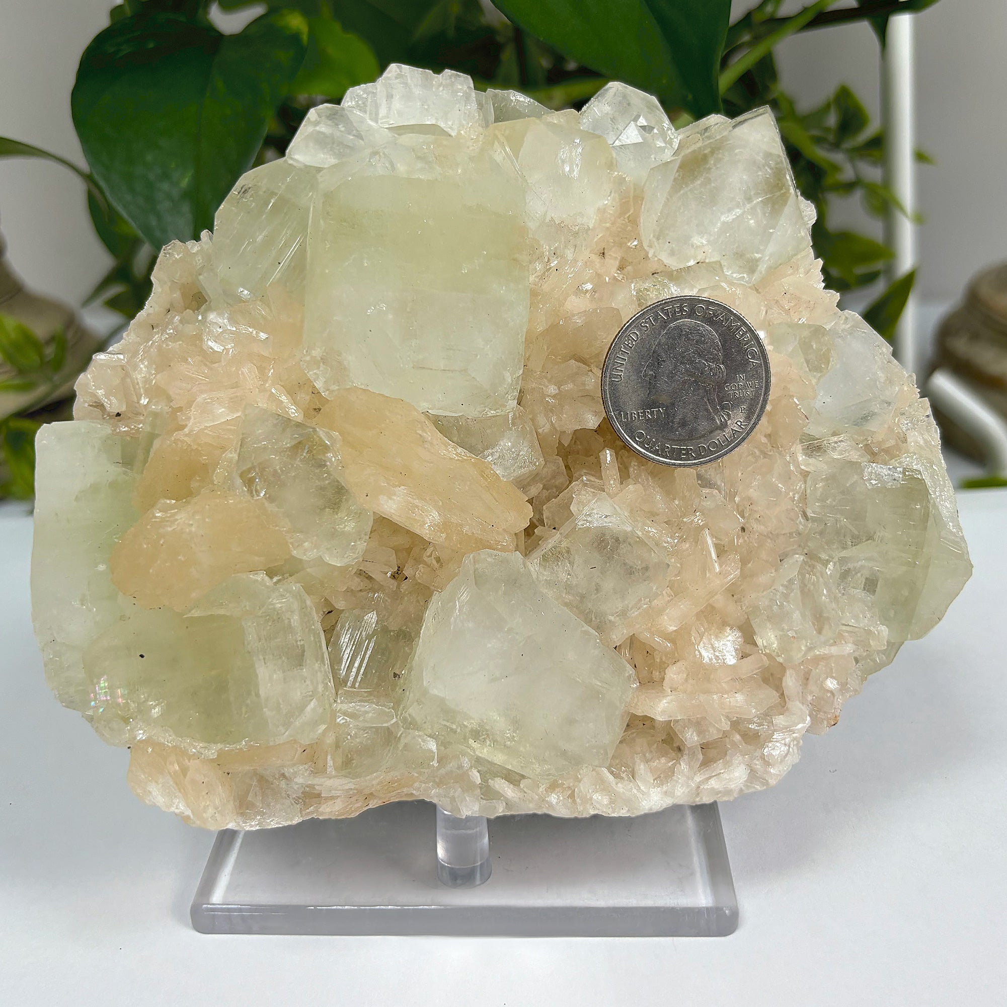 Natural Green Apophyllite Stilbite Mineral Specimen - Rare Sparkling Crystal Cluster for Collectors, Home Decor & Healing | Perfect for Meditation Spaces, Mineral Collections & Energy Work