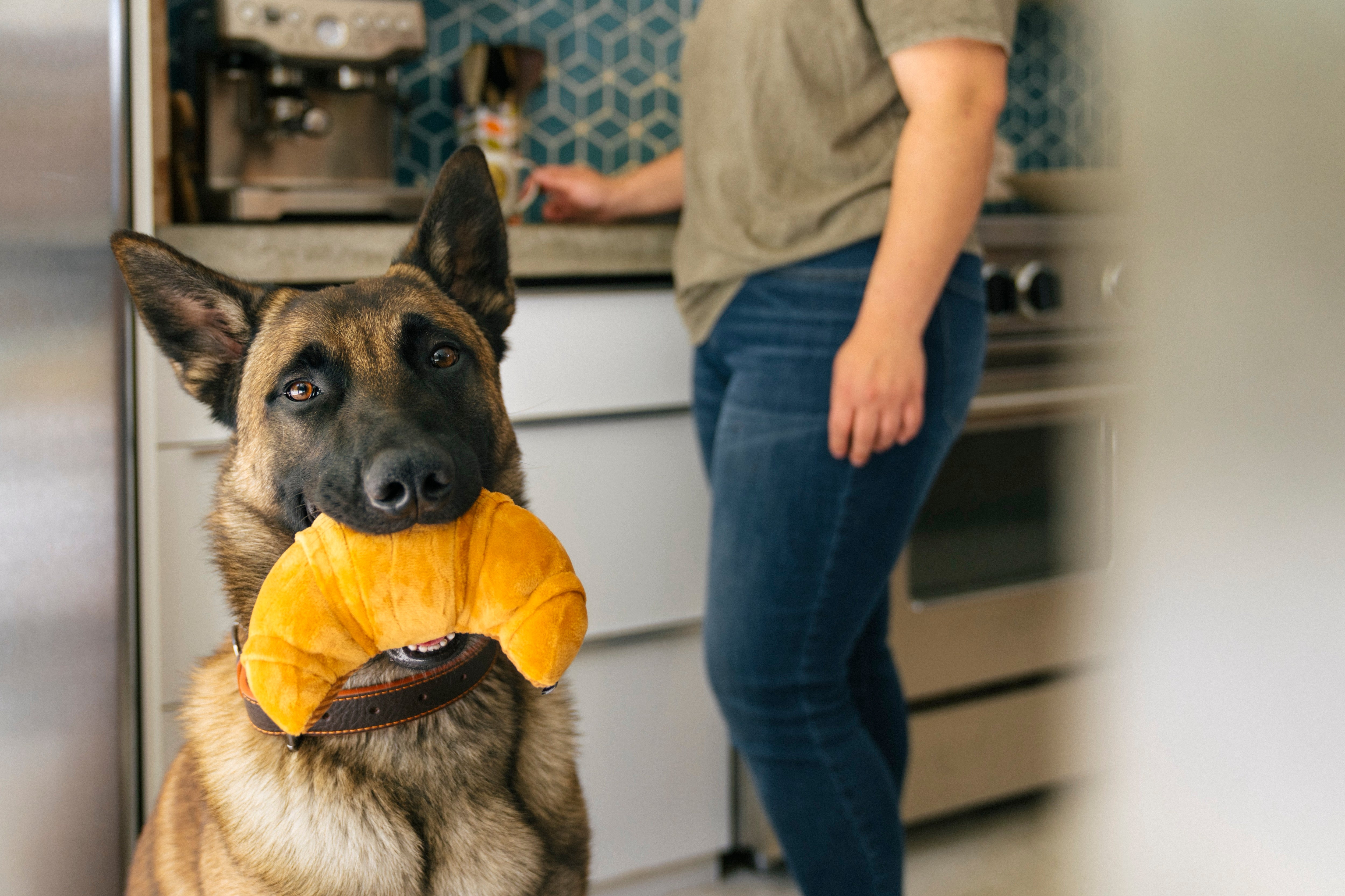 Croissant Plush Dog Toy - Barking Brunch™ Collection by Pet P.L.A.Y. | Soft & Durable Chew Toy for Small & Medium Dogs | Perfect for Playtime, Training & Cuddling