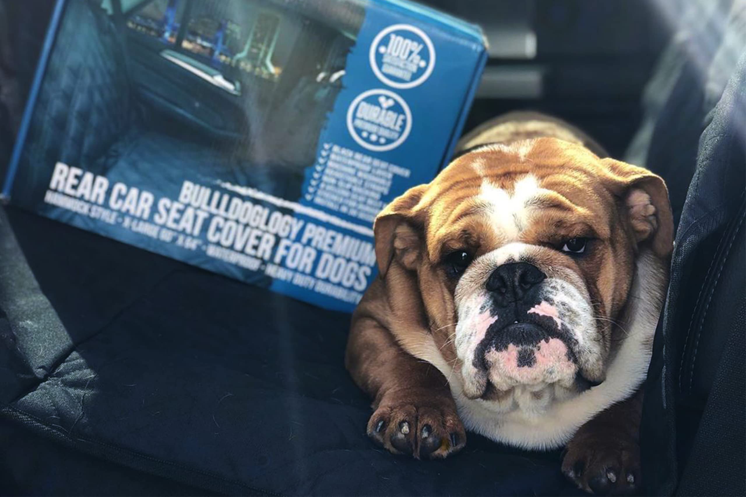 Bulldogology Waterproof Dog Car Seat Cover for SUV & Truck - 58