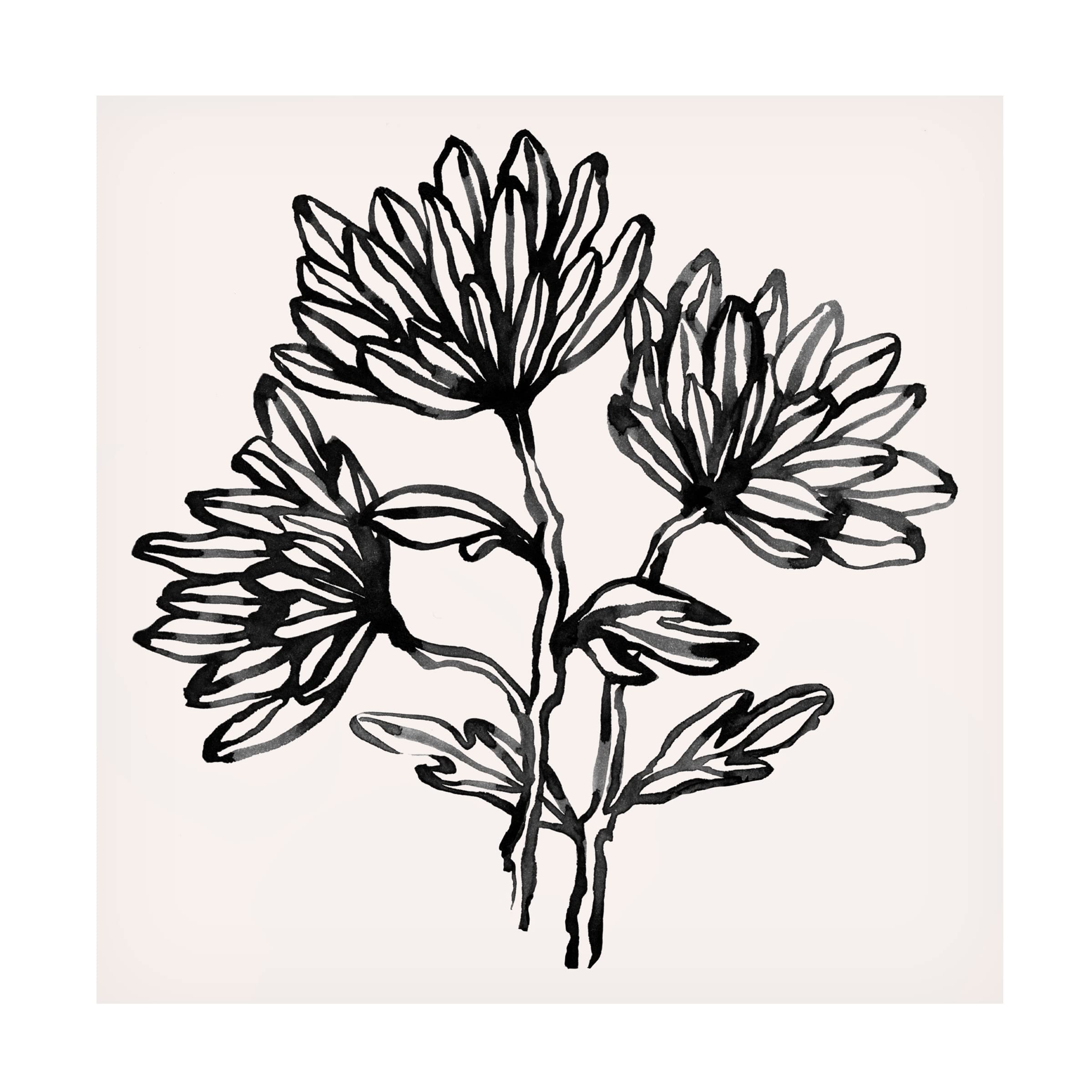 Emma Scarvey 'Gestural Blooms II' Canvas Art Print - Modern Floral Wall Decor for Living Room, Bedroom & Office - Trademark Fine Art Collection