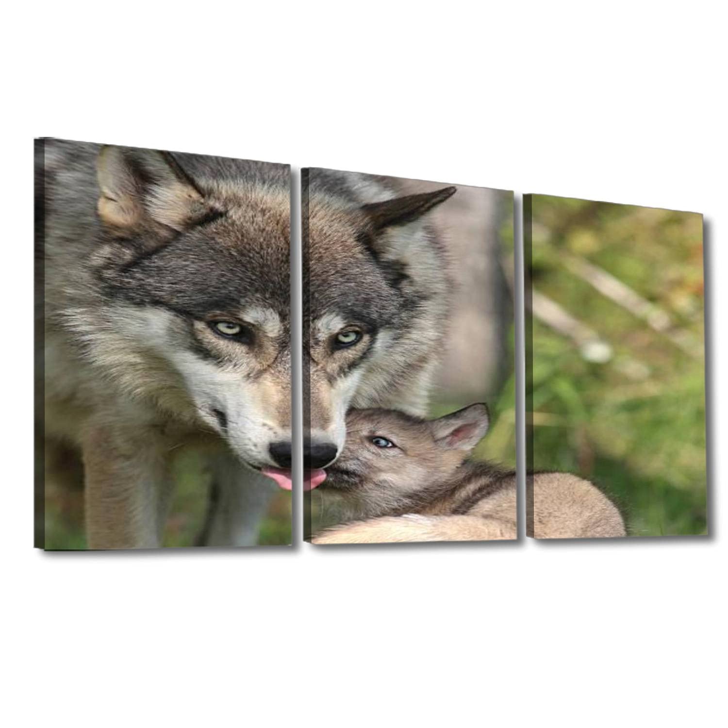 Wolf with Pup Canvas Print - Framed Wall Art Painting for Home Decor, Ready to Hang | Perfect for Living Room, Bedroom & Office Decoration