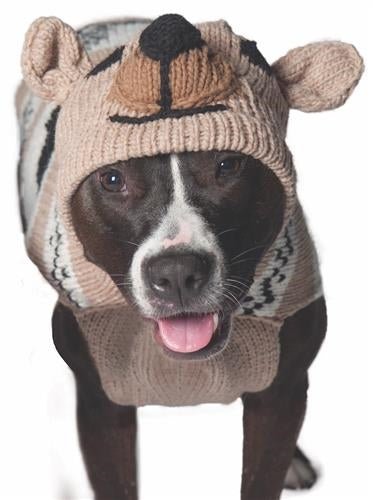 Brown Bear Hoodie Sweater - Cozy Animal Print Pullover for Men & Women - Perfect for Winter Outfits, Casual Wear & Outdoor Adventures