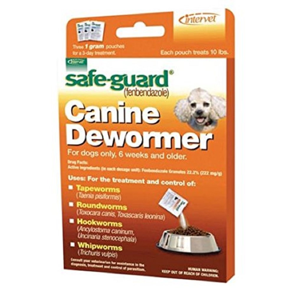 United Pet Group J7161-1 Pet Supplies for Dogs & Cats - Home & Travel Use