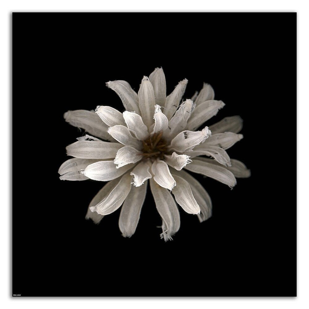 All White Canvas Wall Art by PhotoINC Studio - Premium Printed Canvas Painting Ready to Hang - Perfect for Living Room, Bedroom & Office Decor
