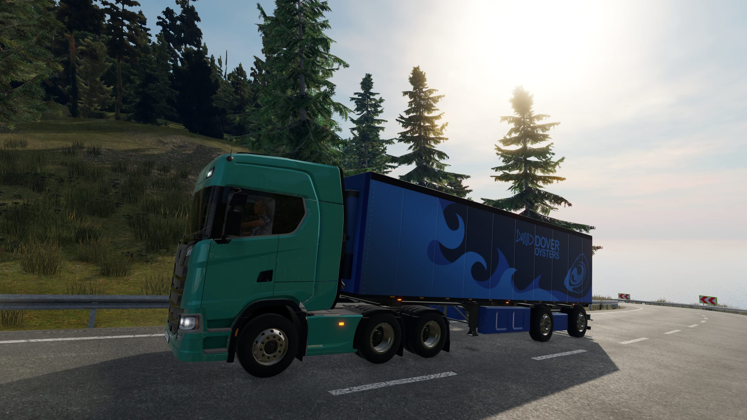 Truck Driver Simulator Game for Nintendo Switch - Realistic Driving Experience for Truck Enthusiasts | Play at Home or On-the-Go