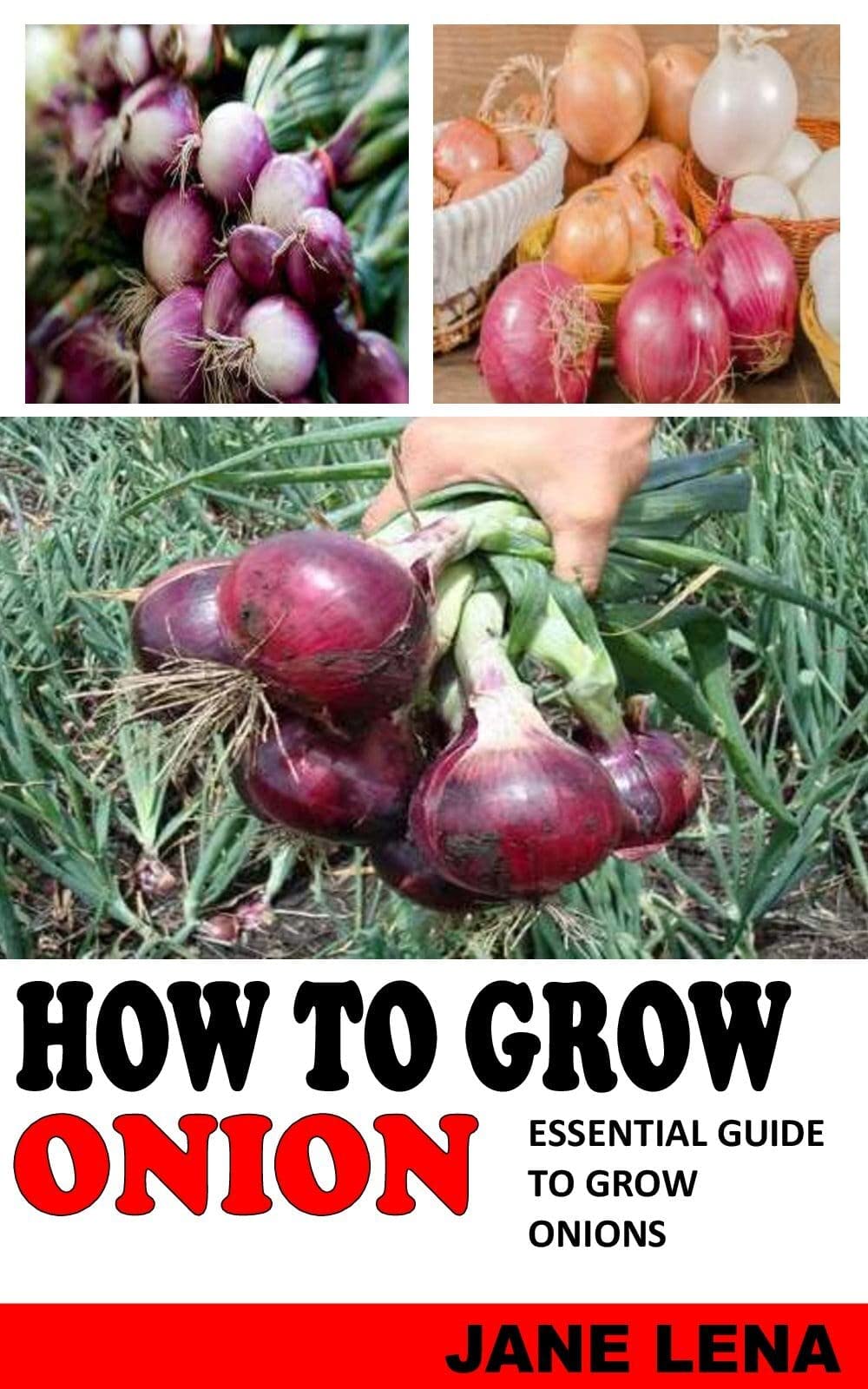 How to Grow Onions: Essential Guide for Planting & Harvesting Onions - Perfect for Home Gardens, Urban Farming, and Organic Vegetable Growing