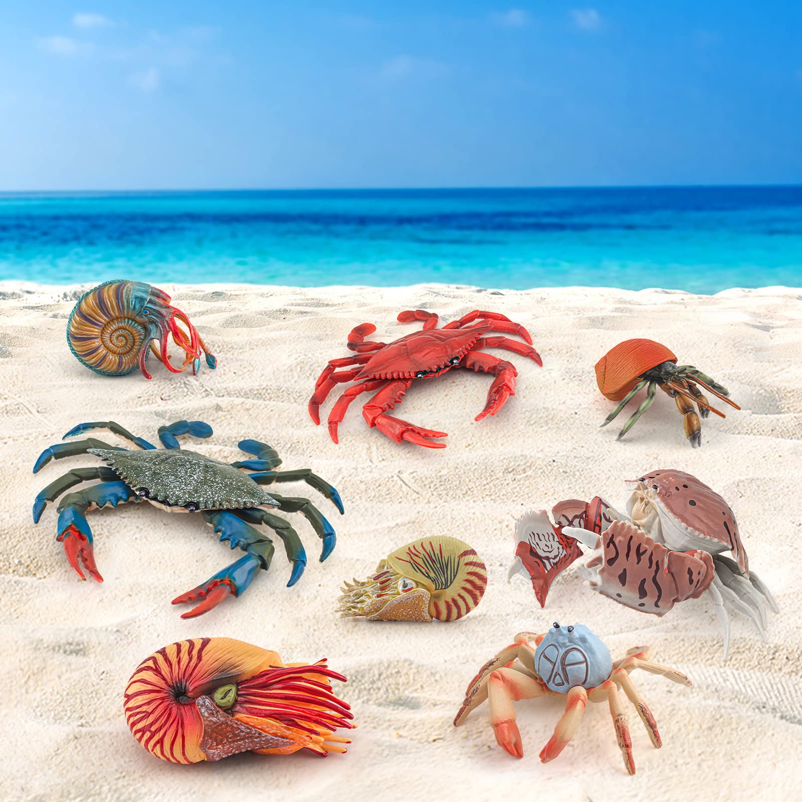 8PCS Jumbo Sea Creatures Toys Set - Educational Shark, Crab, Nautilus Figurines for Kids | Science Learning & Ocean Exploration | Perfect Birthday Gift for Boys & Girls | Bath Time, Classroom & Playroom Fun