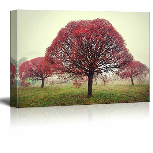 Three Trees With Red Leaves