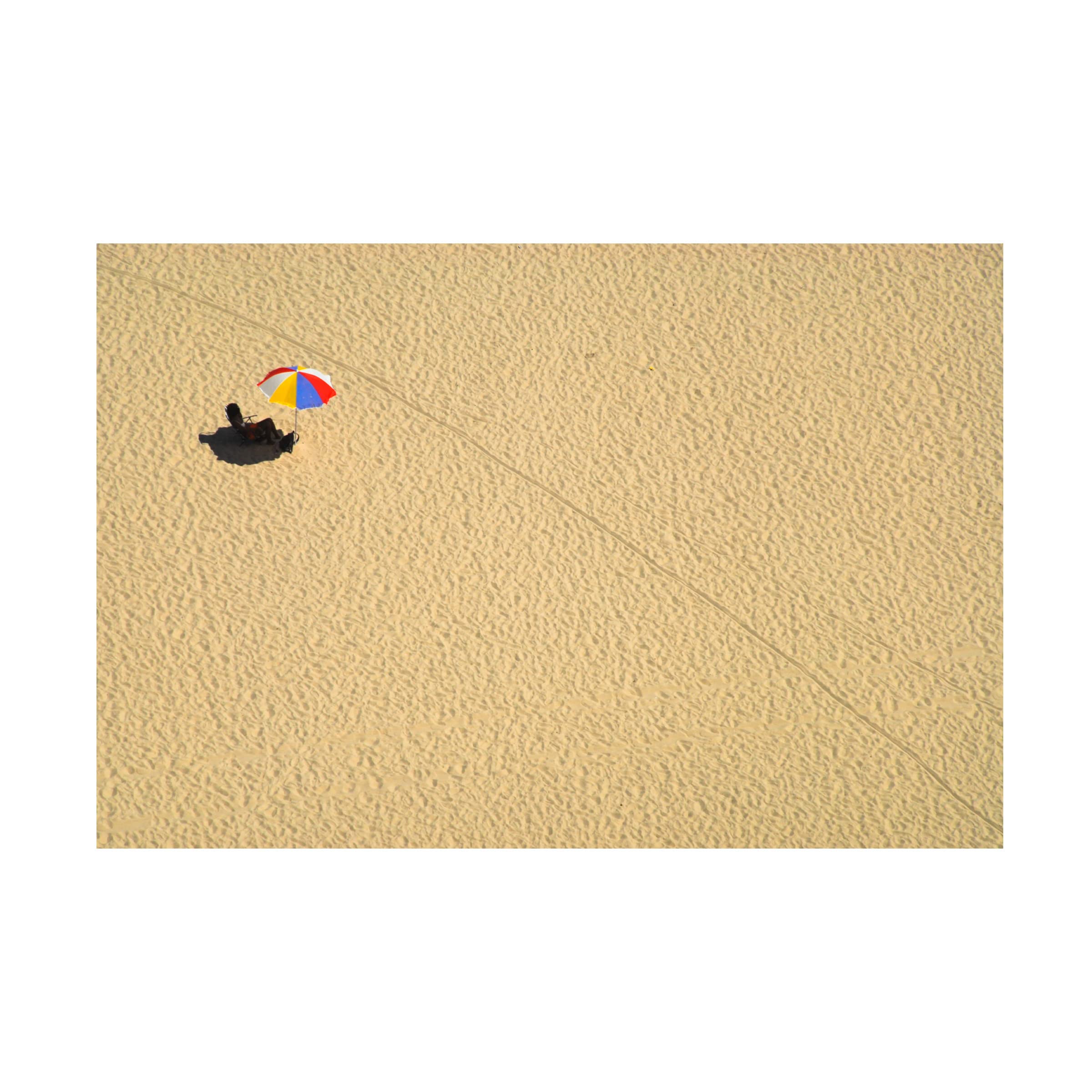 Trademark Fine Art 'Leave Me Alone' Canvas Wall Art by Alberto Fasani - Modern Home Decor for Living Room, Bedroom & Office