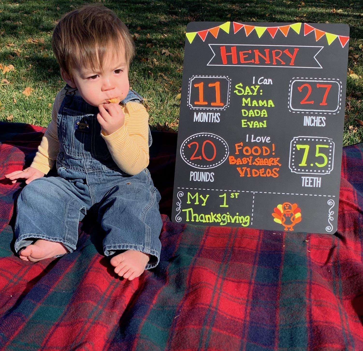 Baby Monthly Milestone Chalkboard Set with 2 Chalk Markers | 13