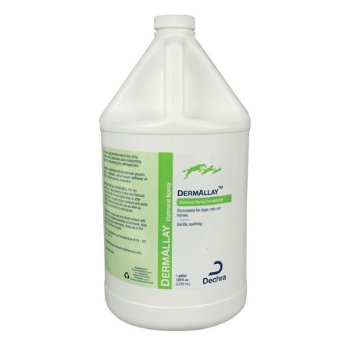 DermAllay Oatmeal Spray Conditioner for Dogs & Cats - 1 Gallon | Soothing Itchy Skin & Moisturizing Dry Coat | Perfect for Bathing, Grooming & Allergy Relief