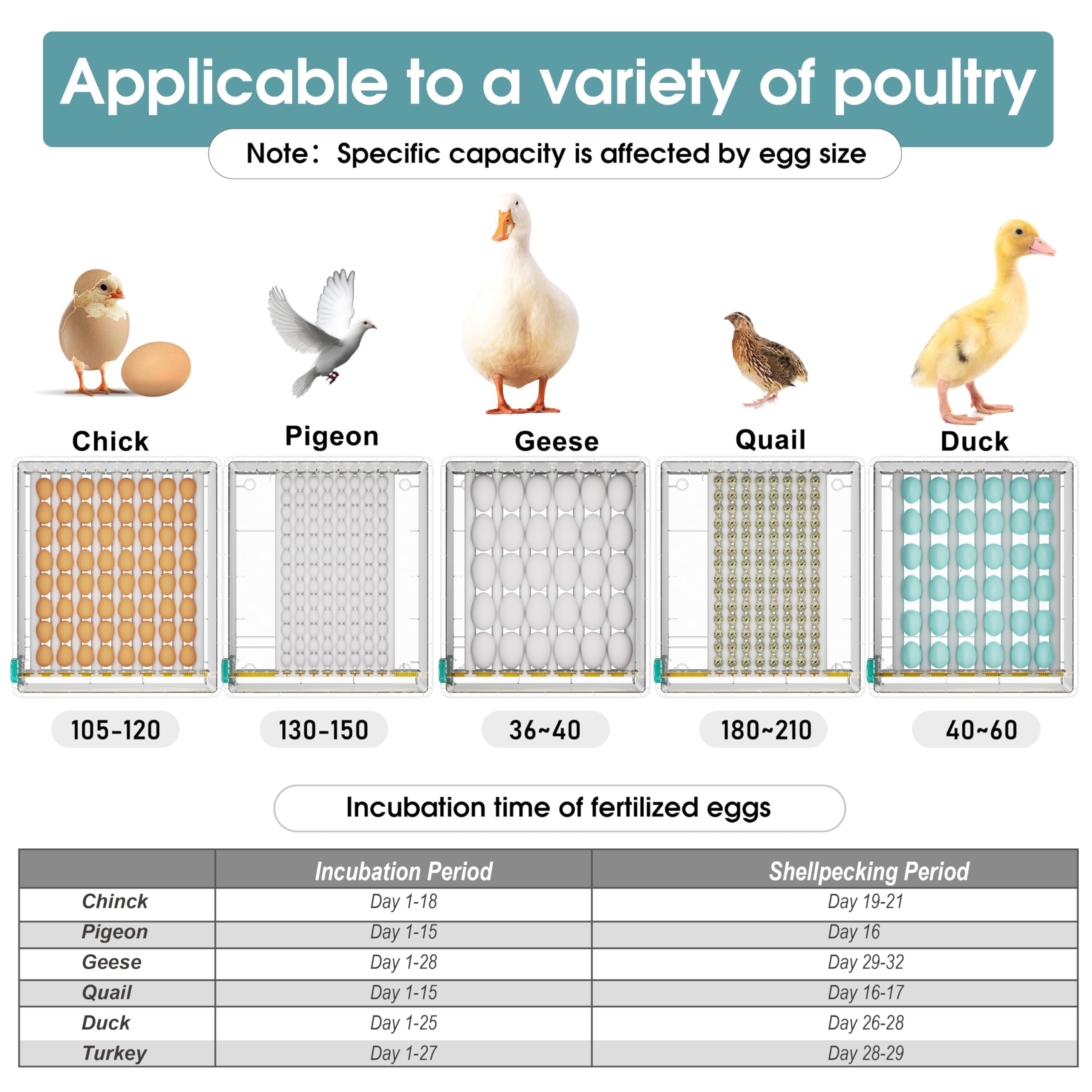 Automatic Egg Incubator for Chicken, Duck & Quail Eggs - 120 Egg Capacity with Auto Turning, Humidity Control & Built-in Candler | Perfect for Poultry Farming, Hatching Projects & Homesteading