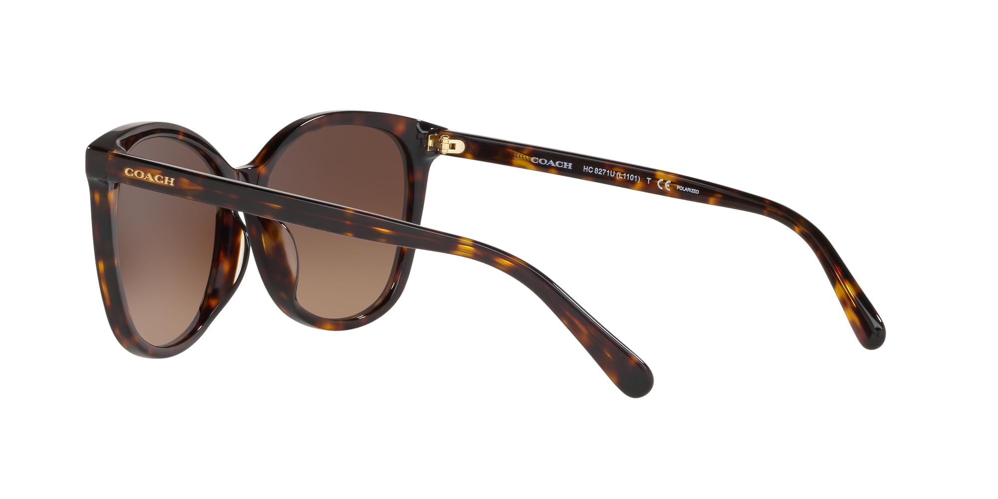 COACH Women's HC8271u Square Sunglasses - UV Protection, Polarized, Lightweight & Stylish for Outdoor, Driving, Beach & Fashion Accessories