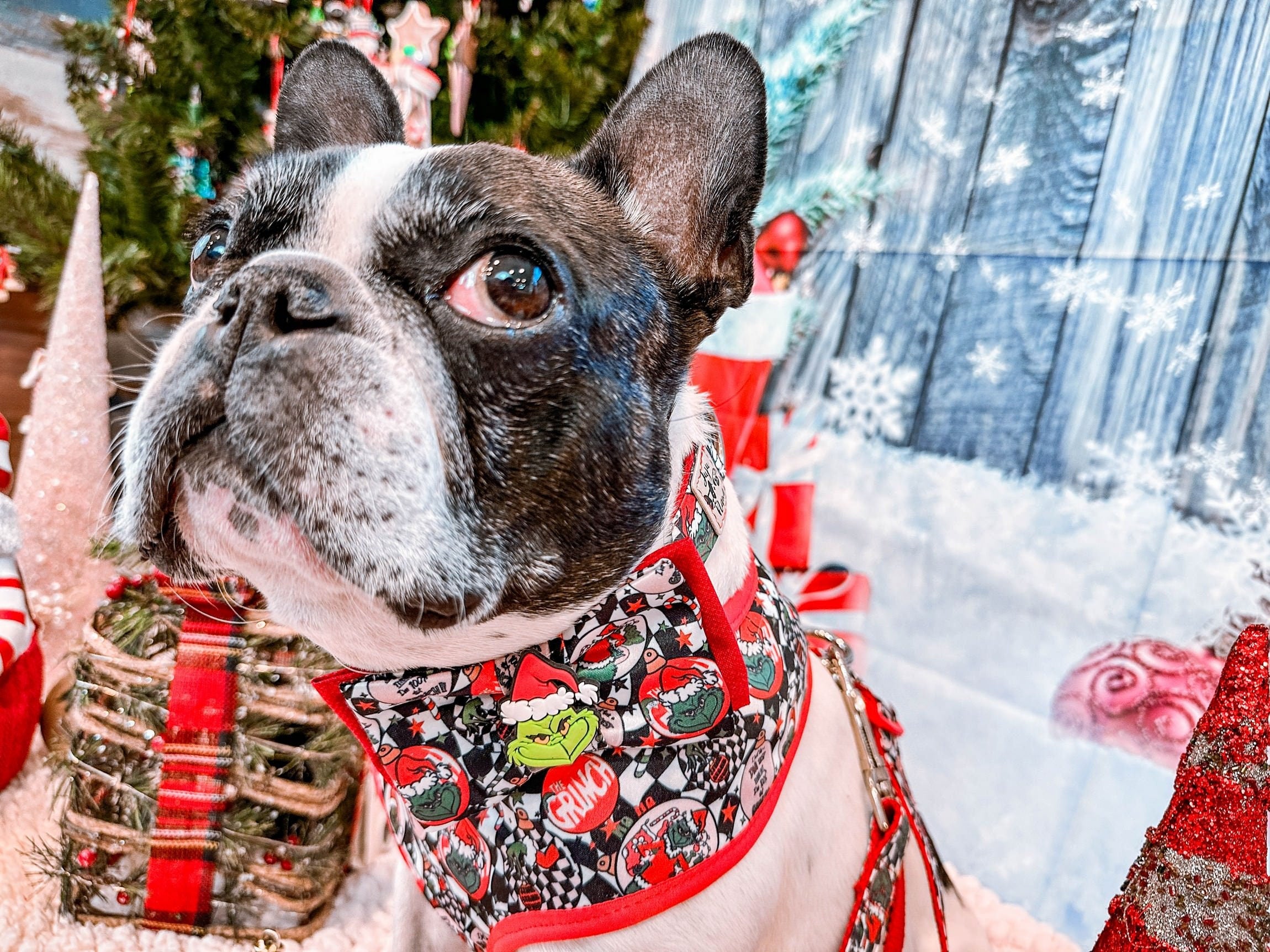 Festive Christmas Dog Collar with Adjustable Bow Tie - Grinch Themed Pet Accessory for Holiday Parties & Photos