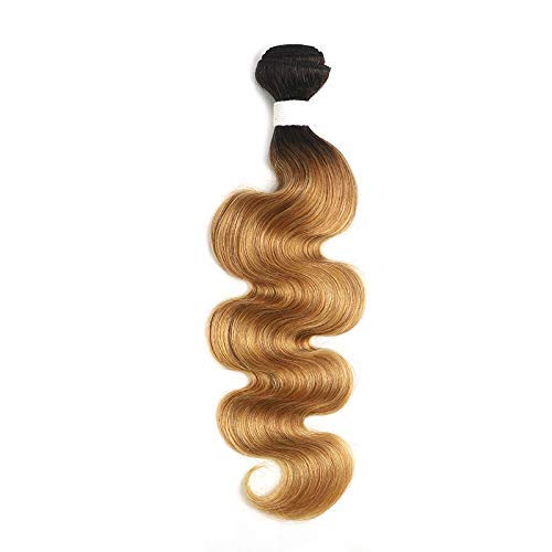 X-TRESS 1B/27 Brazilian Human Hair Bundles - 100% Remy Human Hair Extensions, Ombre Honey Blonde Body Wave Weave (26 Inch, T1B/27) for Stunning Length & Volume - Perfect for Daily Styling, Special Occasions & Salon Use