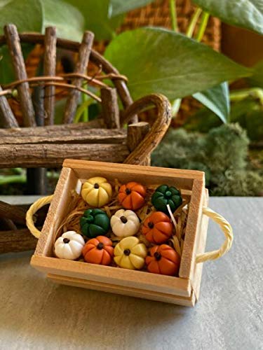 Miniature Fairy Garden Accessories - Large Wooden Crate with Mini Pumpkins for Dollhouse, Home Decor, Outdoor Garden & Yard | Perfect for Fairy Gardens, Terrariums & DIY Craft Projects