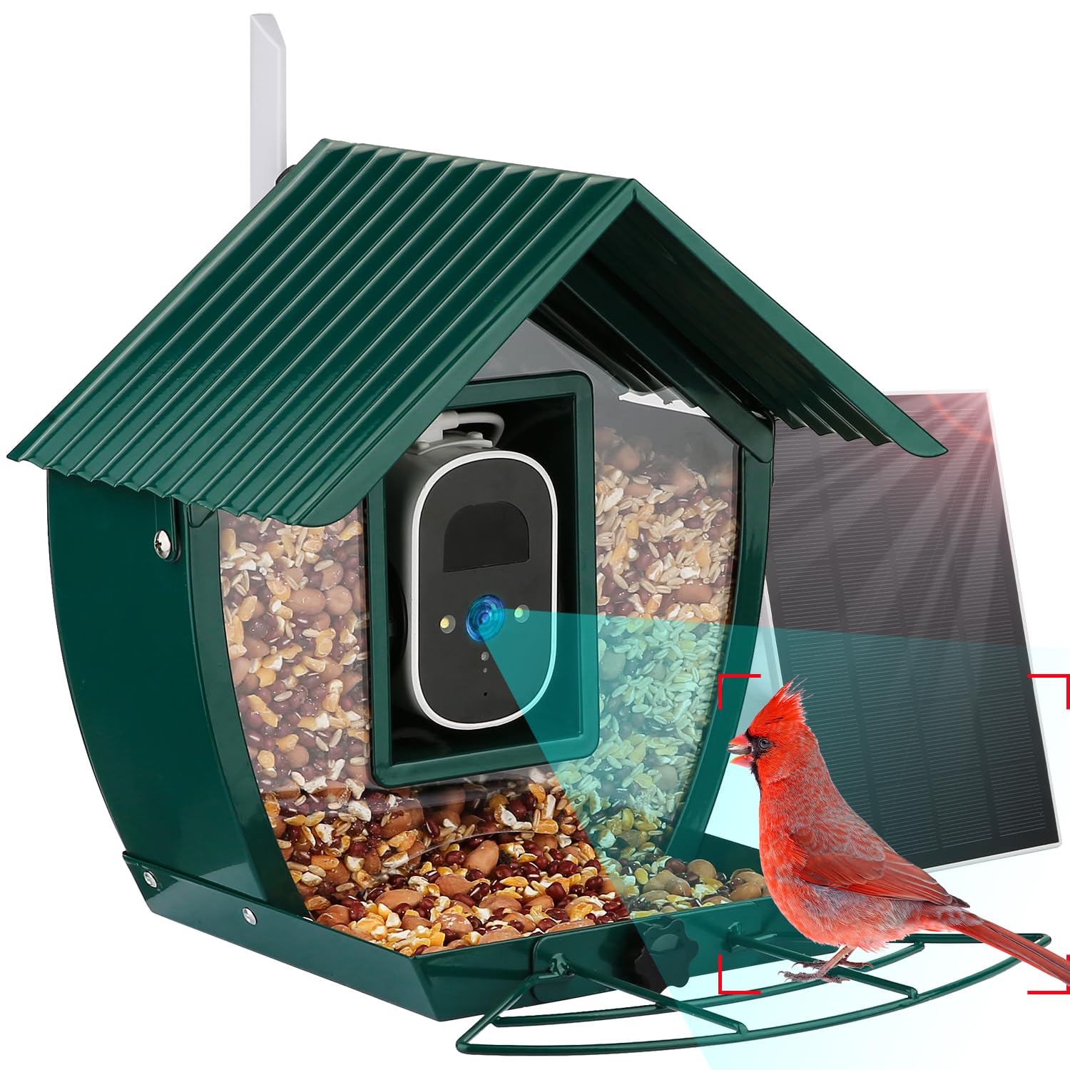 4MP Smart Wireless Bird Feeder with Camera - Solar Powered, Color Night Vision, 10000+ AI Bird Species Identification, Metal Shell - Perfect Outdoor Gift for Bird Lovers (Use in Backyard, Garden, or Patio for Bird Watching)