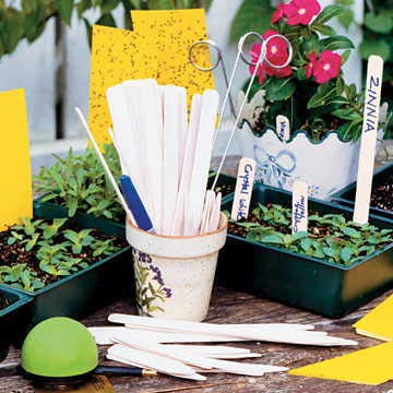 Park Seed White Birch Plant Tags - 4 Inch Pack of 50 for Garden Markers, Herb Labels & Seedling Identification