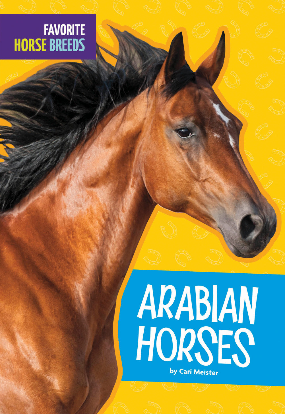 Arabian Horses for Sale - Purebred Arabian Stallions & Mares | Breeding, Riding & Show Horses | Perfect for Equestrian Sports, Ranch Work & Family Companions