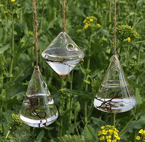 3-Piece Glass Propagation Station Wall Hanging Planters - Indoor Hydroponic Wall Vases for Plants, Flowers & Terrariums | Perfect for Home Decor, Office Greenery & Gift Giving