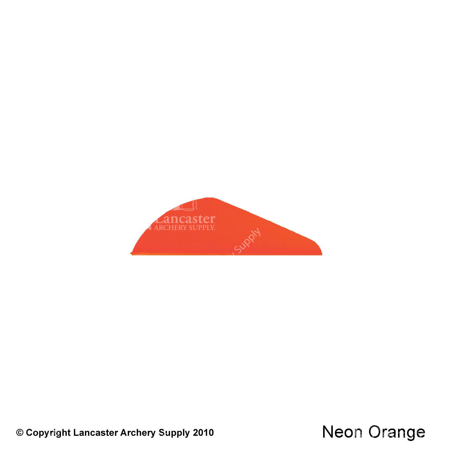Bright Orange