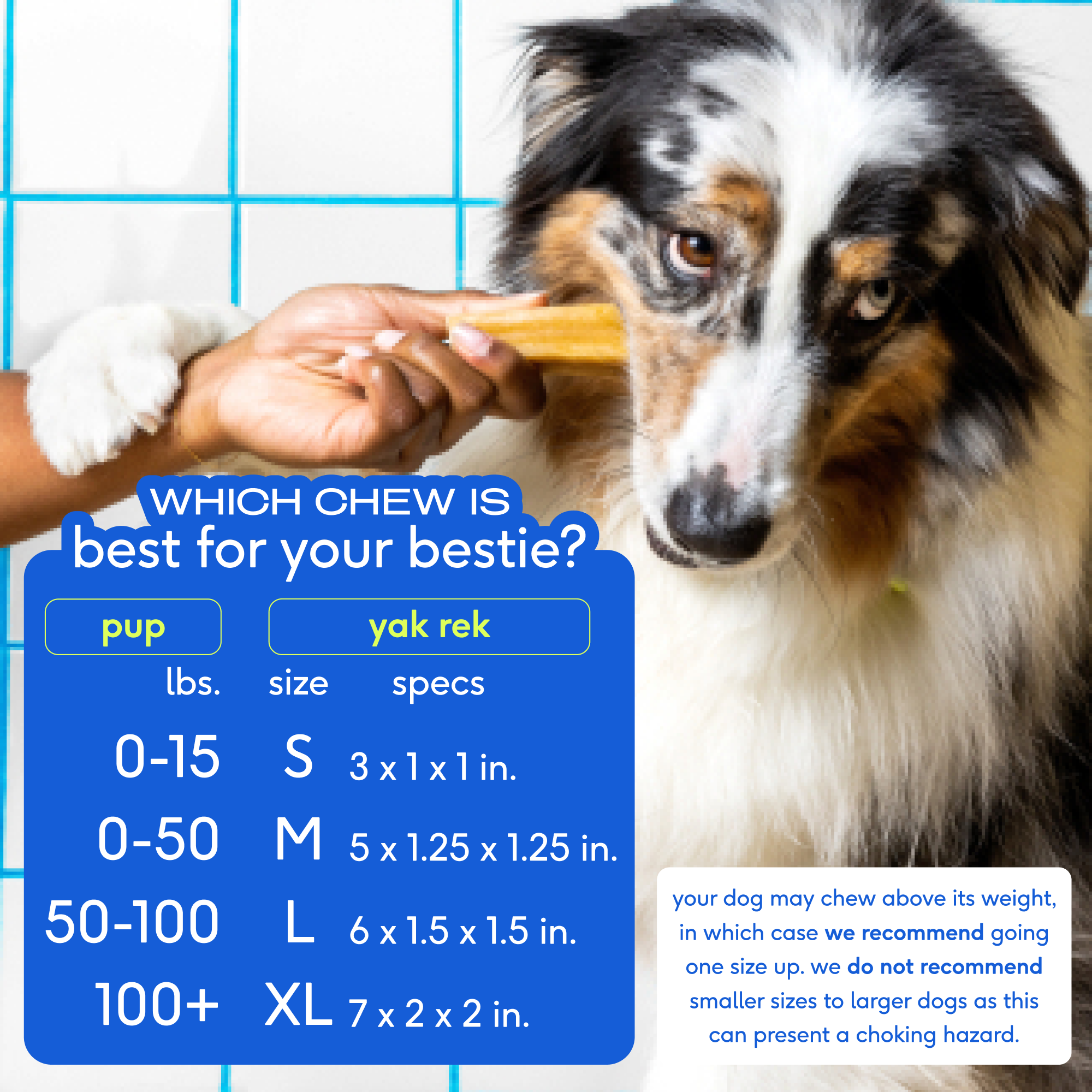 Premium Natural Yak Cheese Chews for Dogs - All-Natural, Long-Lasting Dental Treats for Puppies & Adult Dogs - Perfect for Teething, Training & Chewing Needs