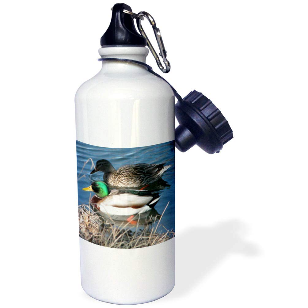 3D Rose Mallard Duck Couple Sports Water Bottle - 21 oz Insulated Stainless Steel Water Bottle with Lid, Leakproof & BPA Free - Perfect for Gym, Hiking, Camping & Outdoor Activities