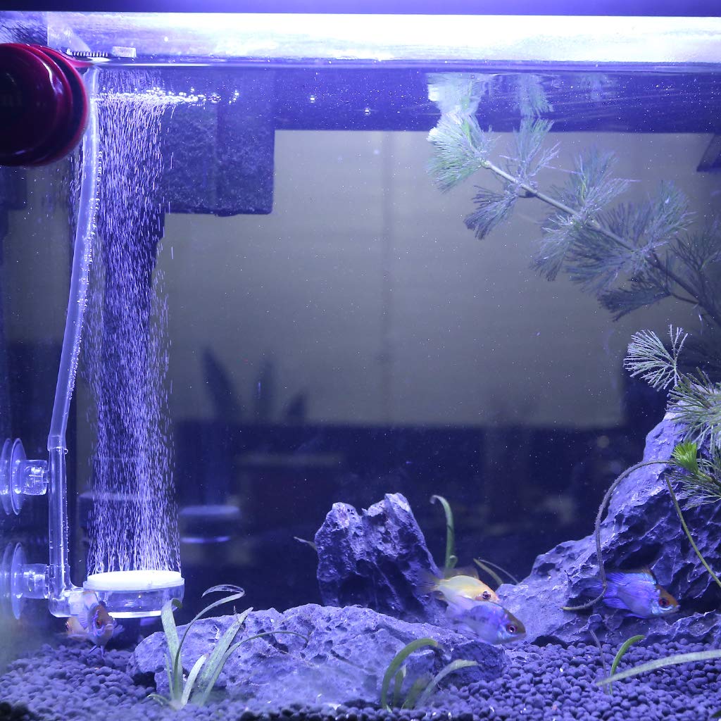 UPETTOOLS Aquarium Air Stone Kit - Nano Bubble Diffuser with Control Valve for Betta Fish & Small Tanks | Ultra Quiet, High Oxygen Dissolution | Creates Micro Bubbles for Healthy Fish | Perfect for Home, Office & Classroom Aquariums