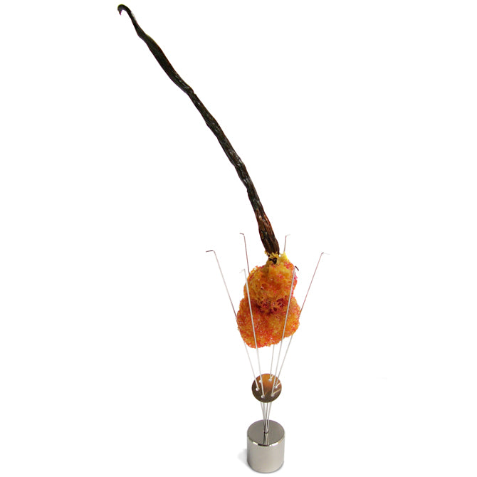 Stainless Steel Squid Wire Food Holder - Perfect for BBQ, Grilling, and Serving Appetizers at Parties