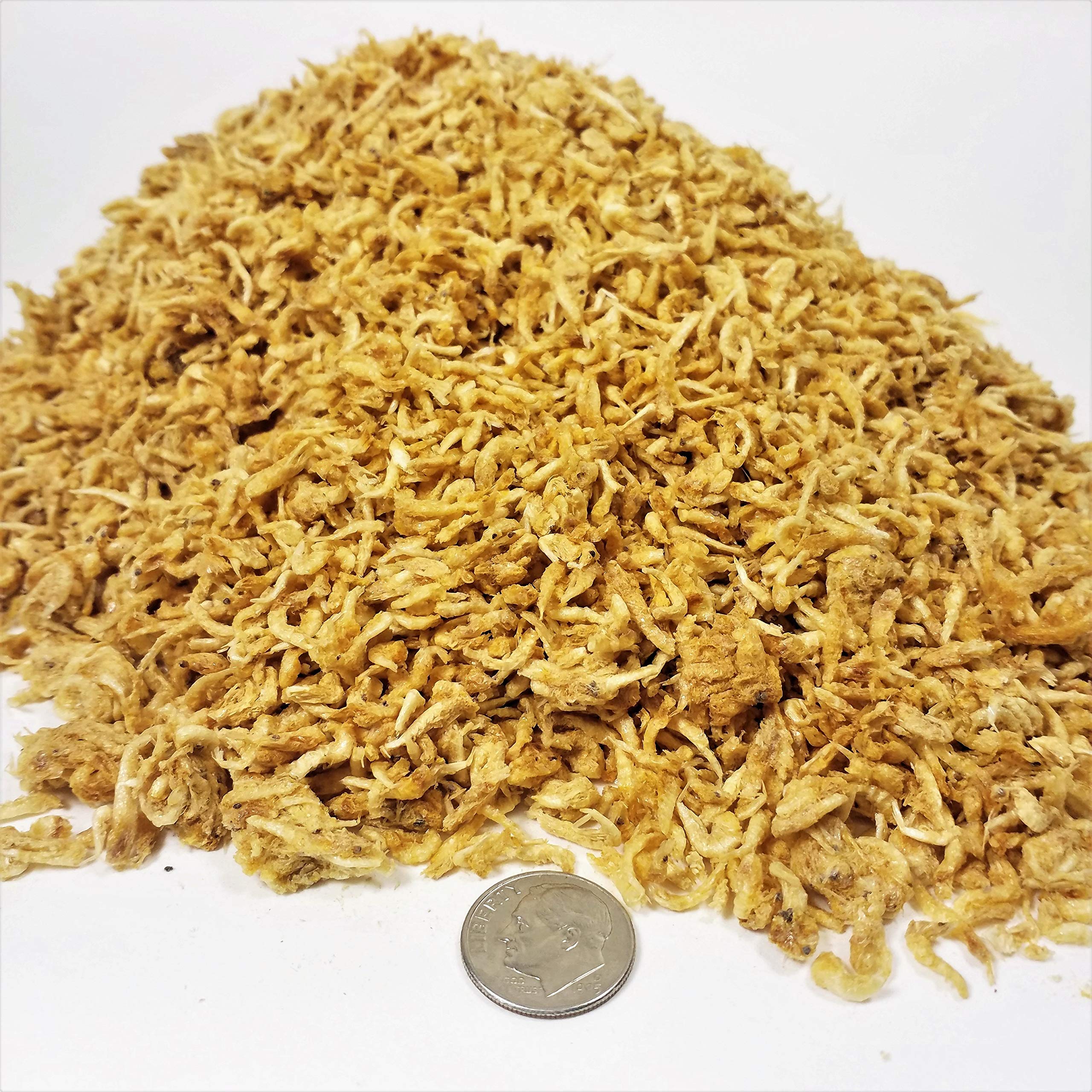 Premium Freeze Dried Plankton for Marine Fish, Corals & Tropical Aquariums - High Protein Aquatic Food (10 lbs) - Ideal for Reef Tanks, Saltwater Fish & Coral Nutrition