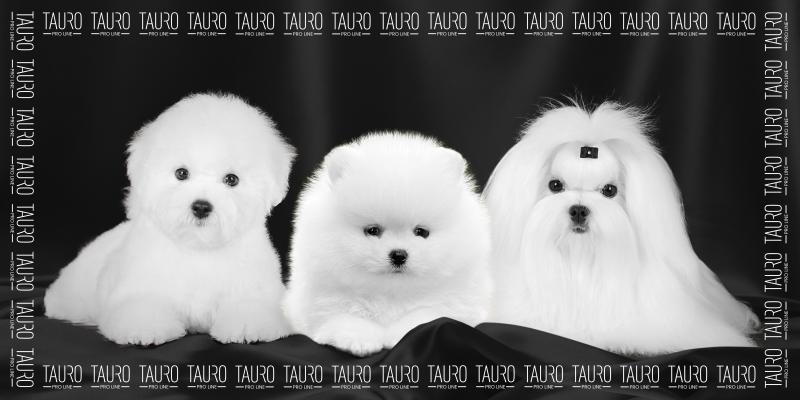 Tauro Pro Line Microfiber Towel - Ultra Absorbent, Quick Drying, 31.5x63 Inches - Perfect for Gym, Sports, Travel & Home Use