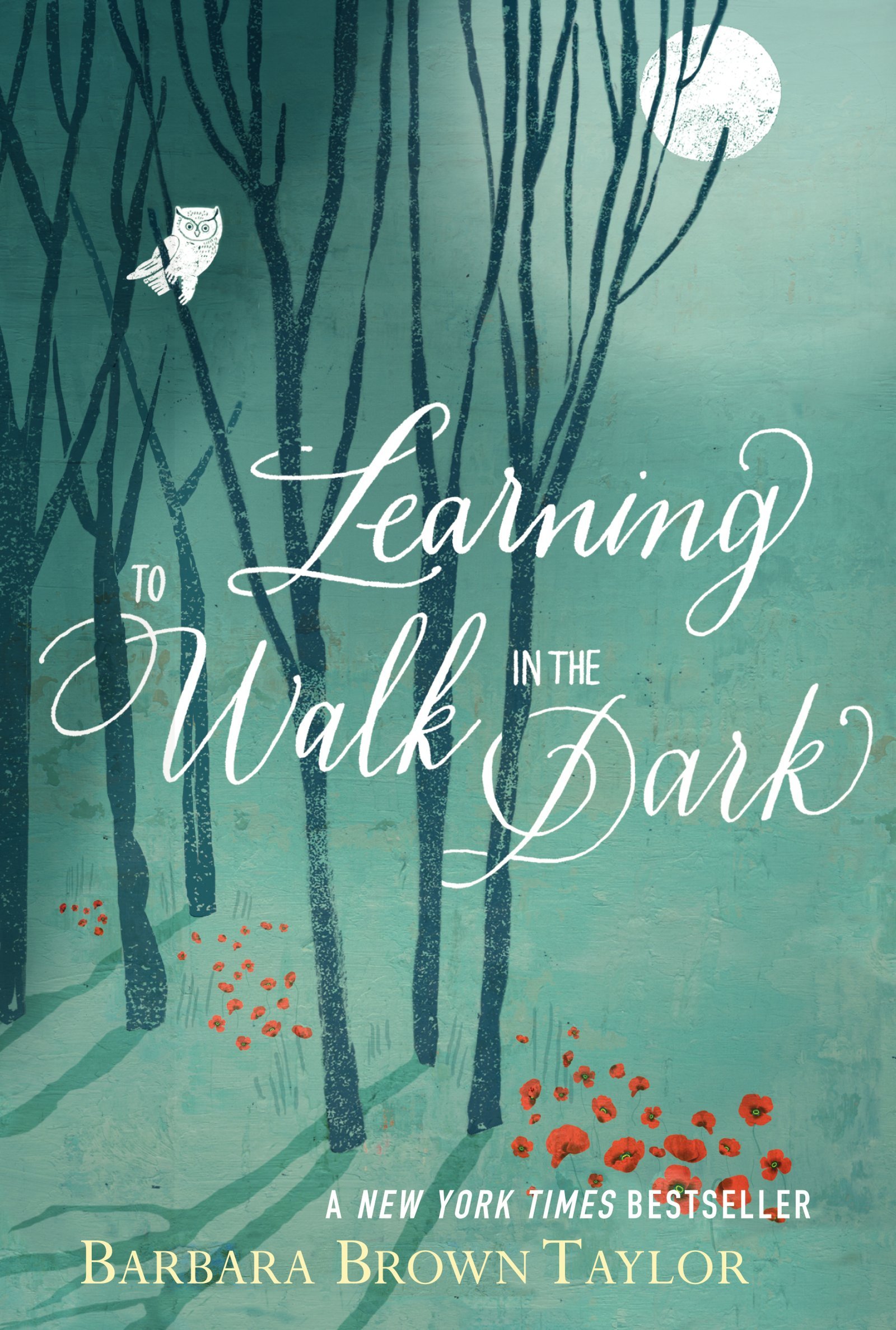 Learning to Walk in the Dark - Inspirational Book for Personal Growth & Overcoming Fear | Perfect for Self-Help Readers, Spiritual Seekers, and Night Walkers