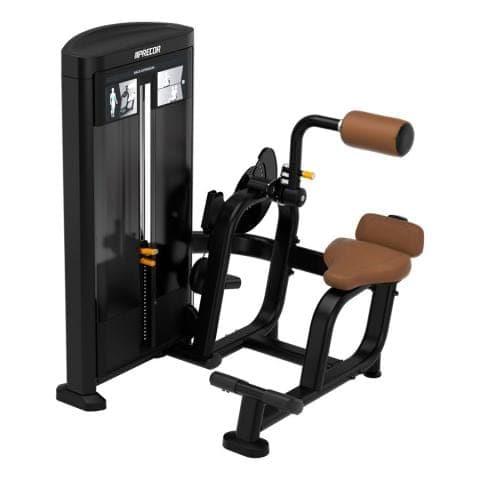 Precor Resolute Series Back Extension Machine (RSL0313) - Professional Gym Equipment for Home & Commercial Use - Strengthen Lower Back & Core Muscles