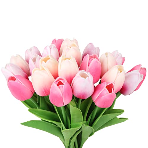 Multi Pink