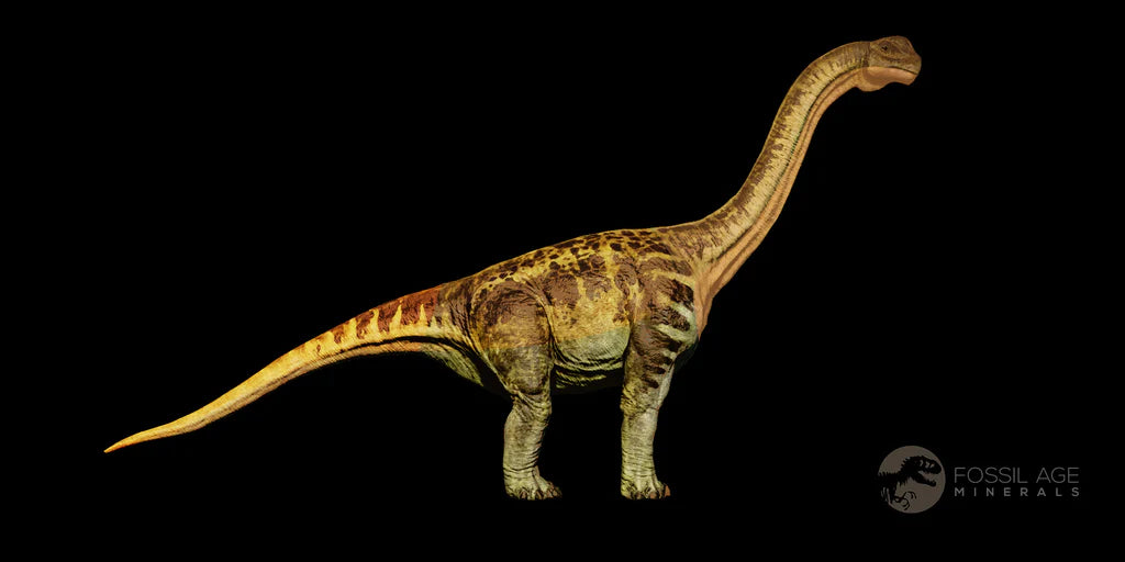 3.4