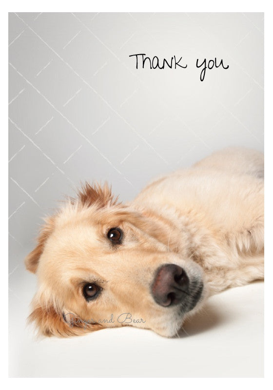 Golden Retriever Thank You Note Cards Box Set - 20 Premium Blank Greeting Cards with Envelopes for Dog Lovers, Birthday, Wedding, Appreciation Gifts (Perfect for Pet Owners, Dog Trainers, Veterinarians)