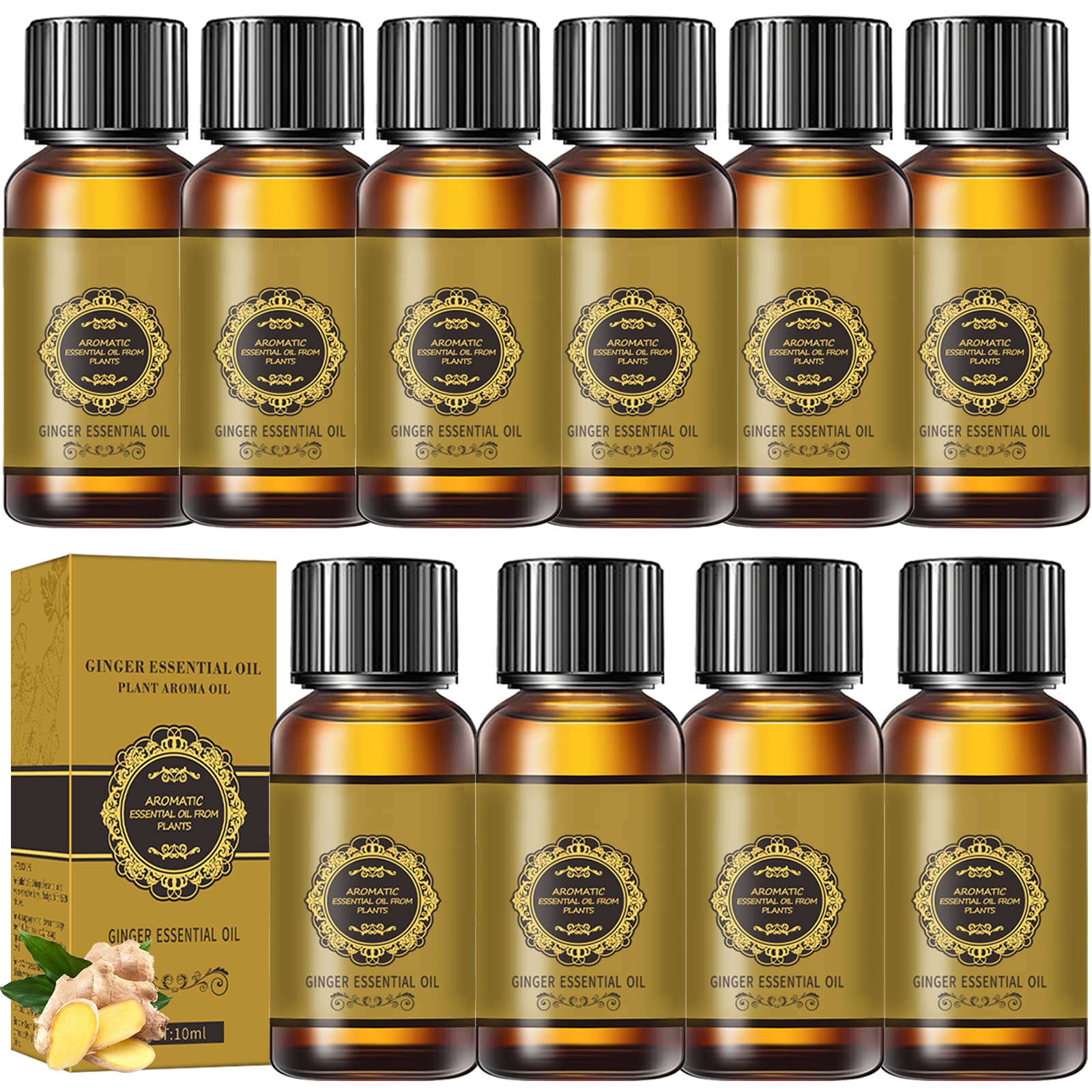10 Pack Ginger Massage Oil for Lymphatic Drainage & Sore Muscles - 100% Natural with Arnica Extract & Ginger Oil - Warming & Relaxing Aromatherapy Oil for Spa, Yoga, and Post-Workout Recovery
