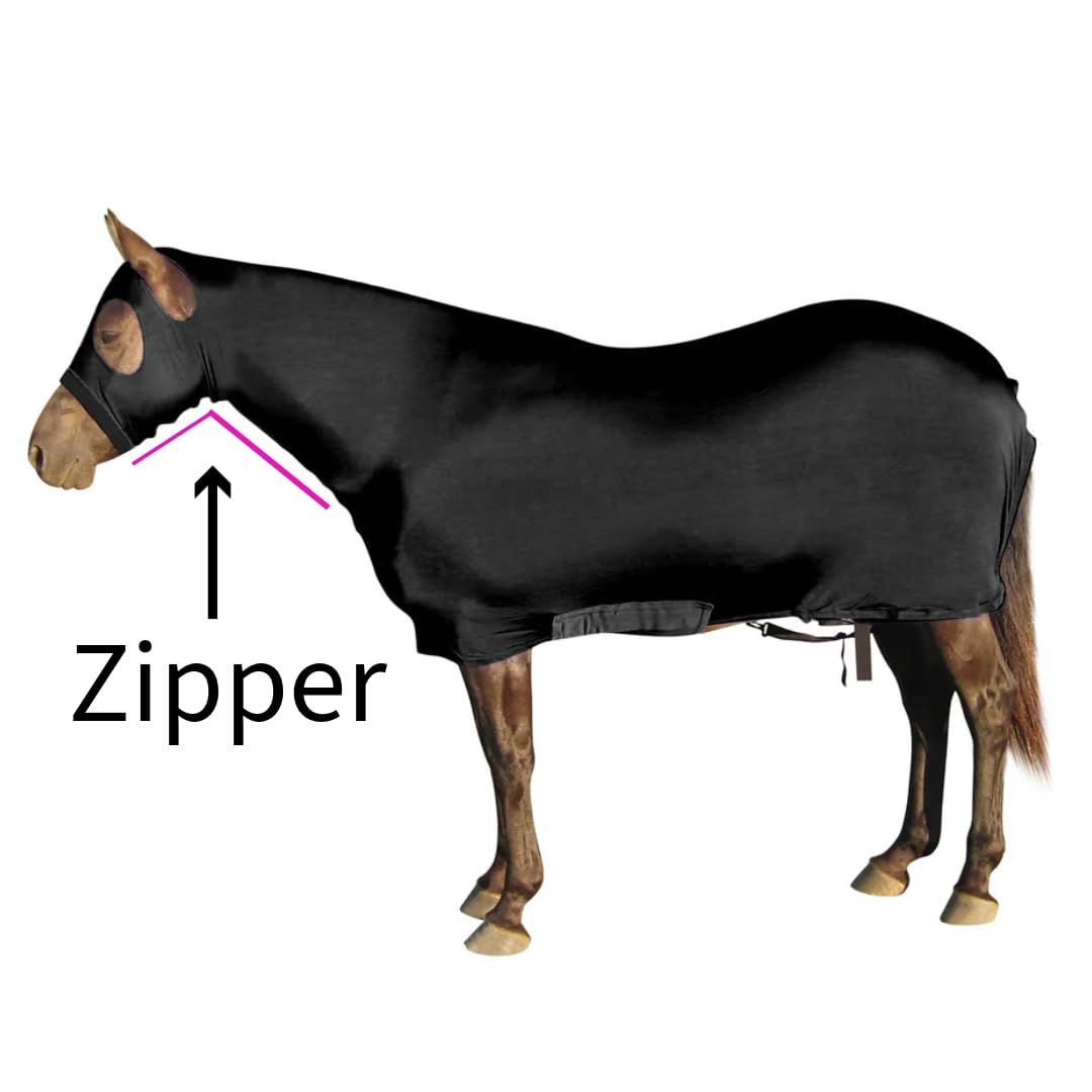Breathable Lycra Full Body Horse Sheet with Neck Cover - Lightweight & Durable for Training, Riding & Show Performance