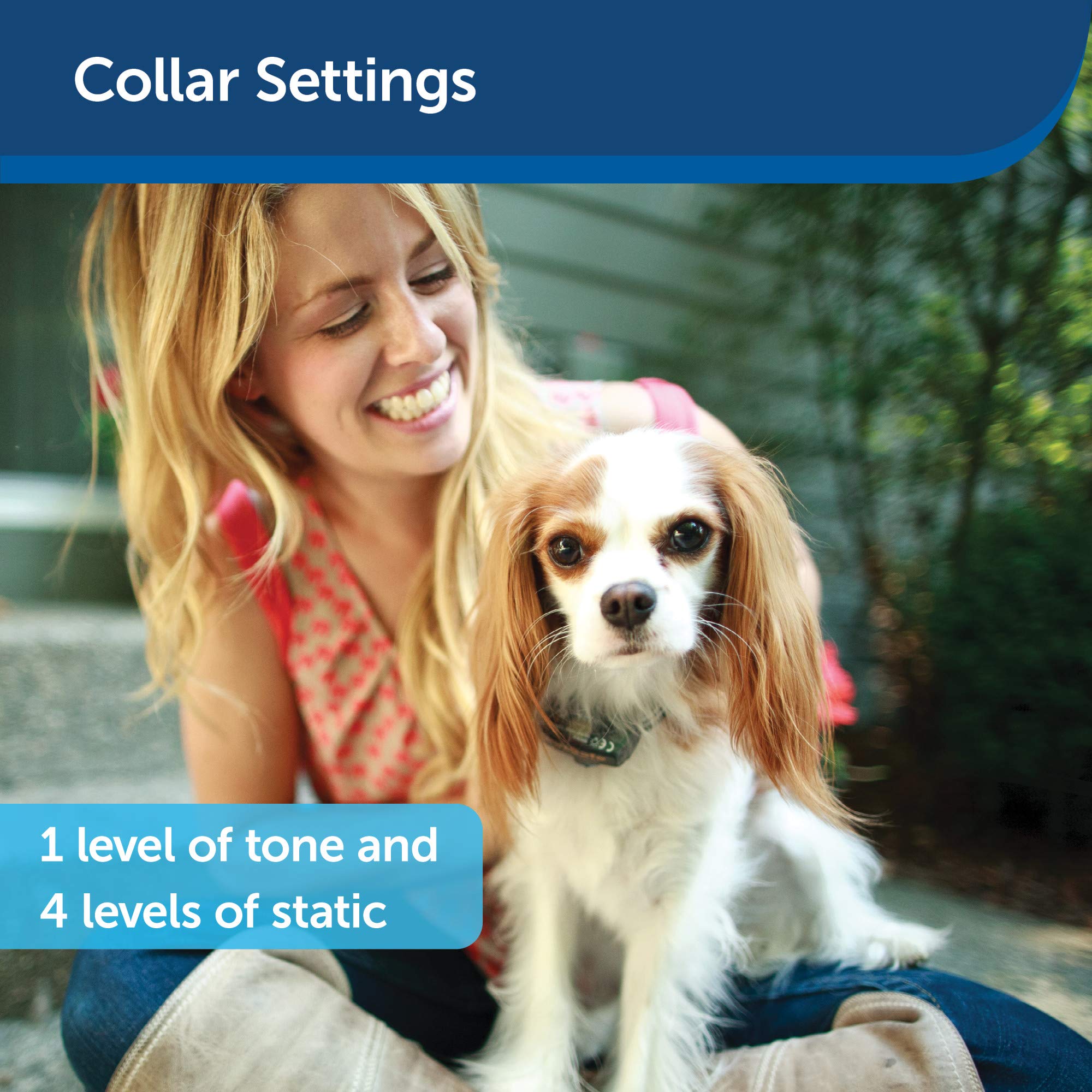 PetSafe Elite Little Dog In-Ground Fence Receiver Collar - Waterproof Training Collar for Small Dogs Over 5 lbs with Tone & Static Stimulation - Ideal for Backyard Containment & Dog Safety - From Invisible Fence Brand Parent Company