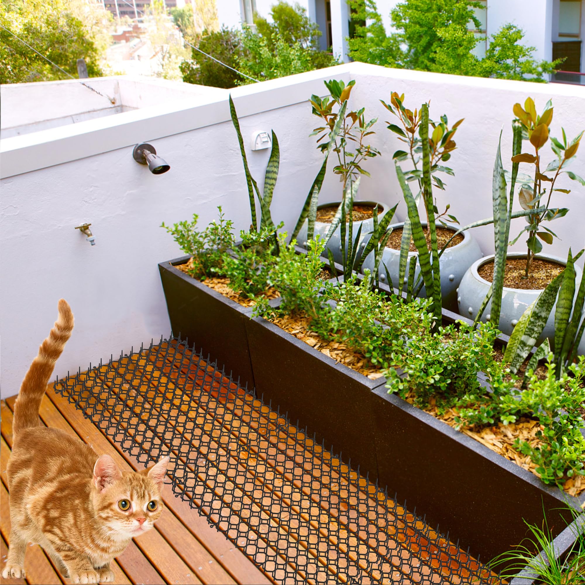 16 X 13 Inch Cat Scat Mat (16 Pack) - Indoor/Outdoor Pet Deterrent for Plants, Furniture & Sofas - Keep Cats Away from Gardens, Beds & Countertops