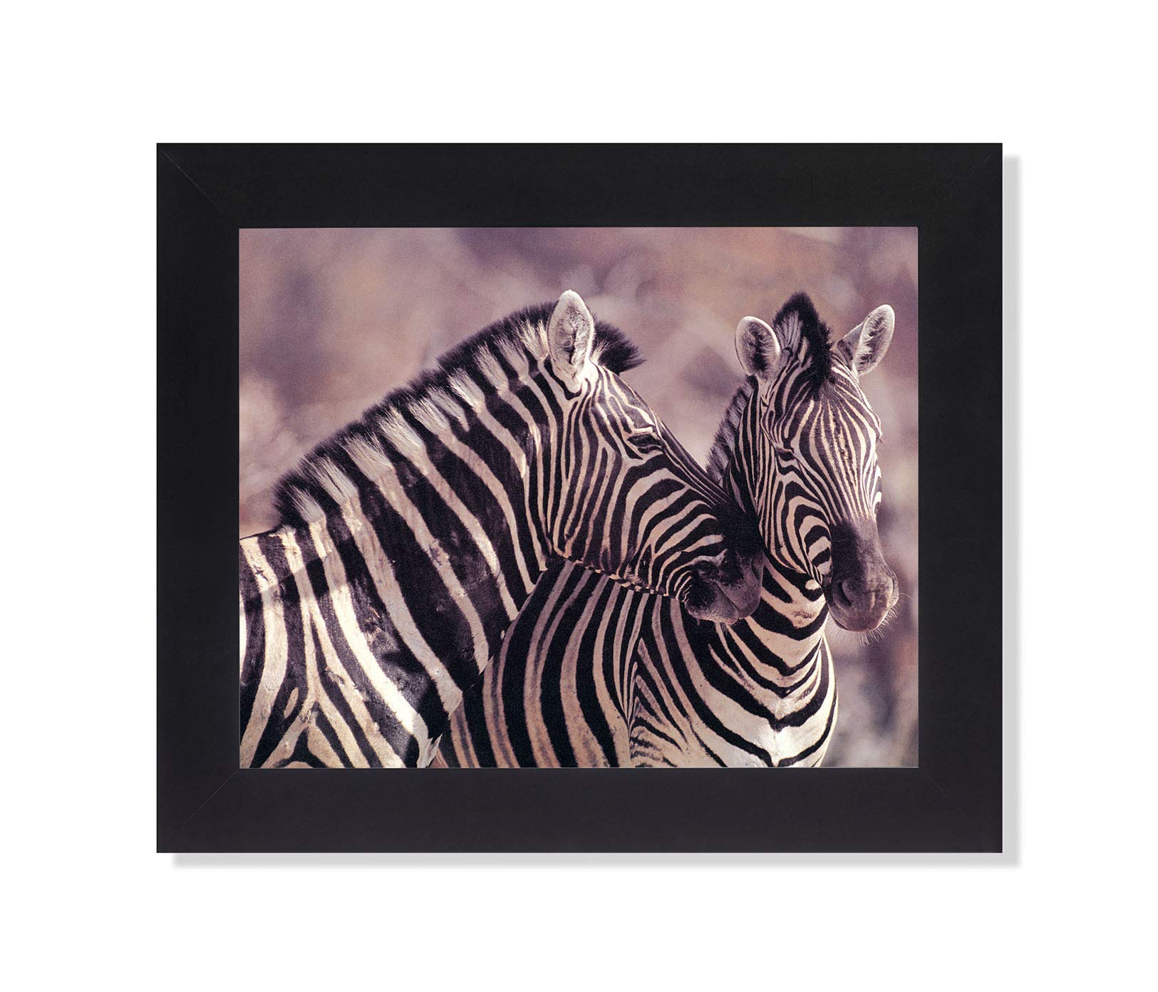 African Striped Zebras Hugging Framed Wall Art Print - Wildlife Safari Decor for Living Room, Bedroom & Office